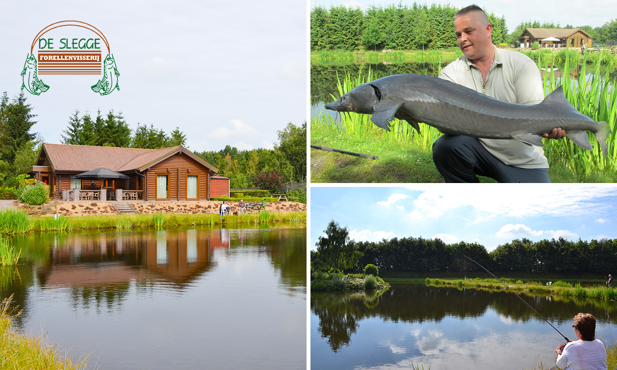 Vissen (4 uur of dagkaart) op steur en meerval incl. hengel en aas + sundae
