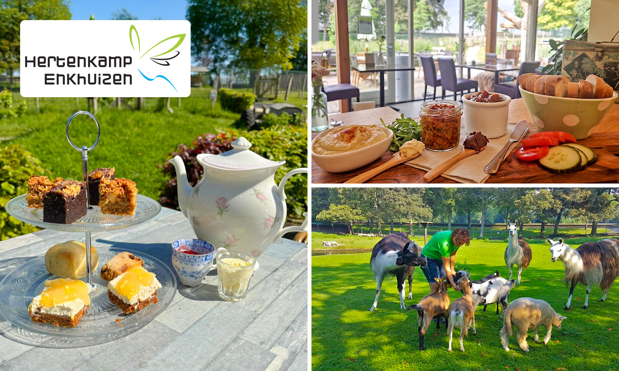 Afternoon tea bij Hertenkamp Enkhuizen