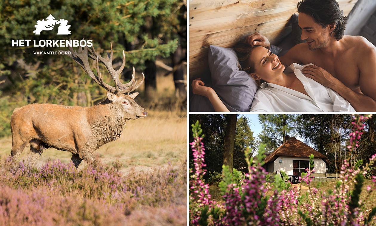 Séjour en week-end ou demi-semaine (2 pers.) sur la Veluwe