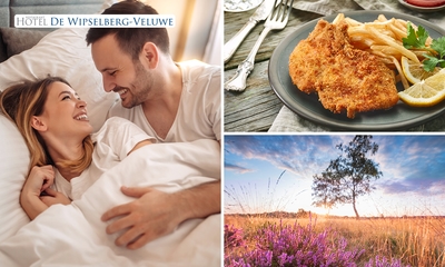Nuit(s) pour 2 + petit-déjeuner + dîner en 2 services au choix dans la Veluwe