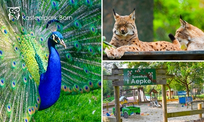 2 entreetickets voor Kasteelpark Born