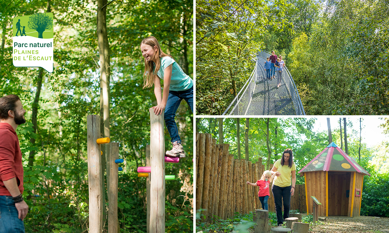 Entrée pour une immersion dans l'écosystème forestier