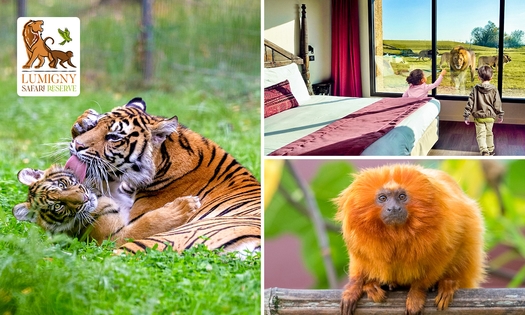 Overnachting voor 2 of een gezin + ontbijt + entree safariparken nabij Parijs
