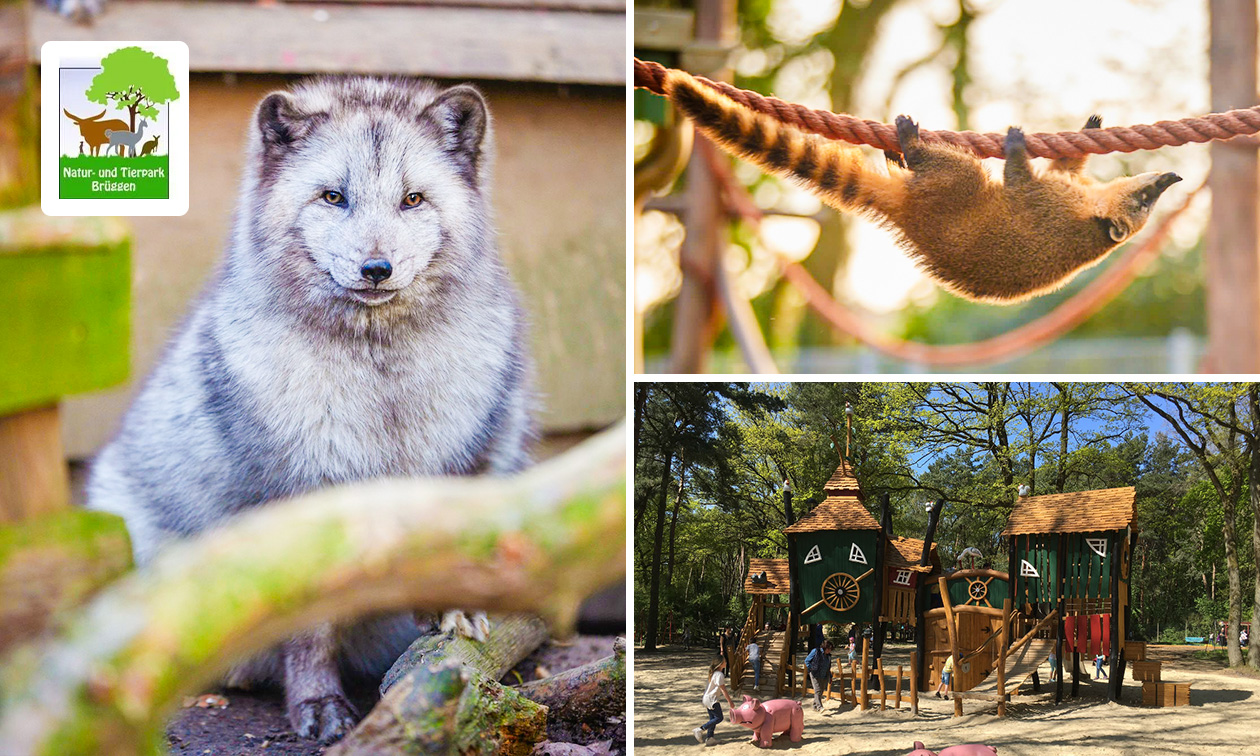 Eintritt in den Natur- und Tierpark Brüggen