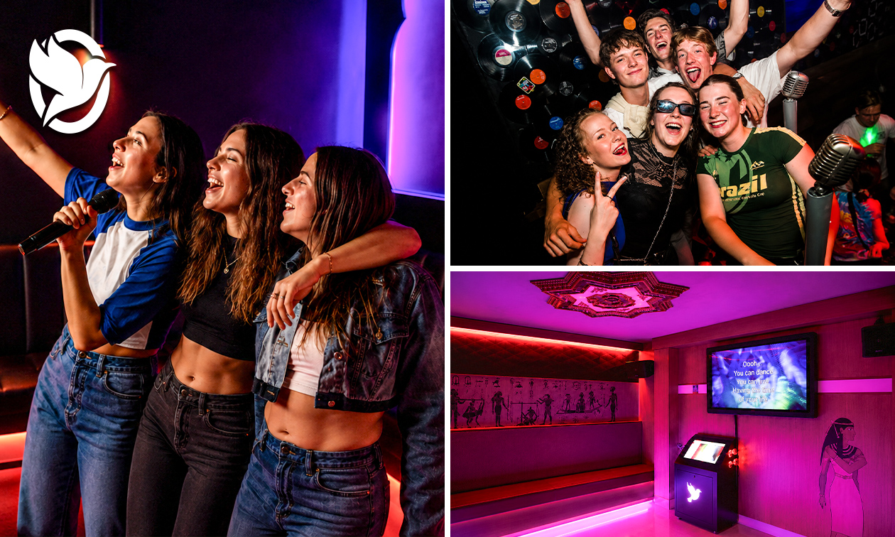 1 uur privé-karaoke (4 tot 16 pers.) in hartje Nijmegen