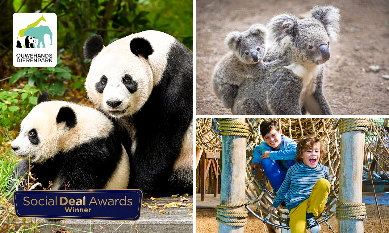 Entrée Ouwehands Dierenpark Rhenen + café, thé, cappuccino ou chocolat chaud