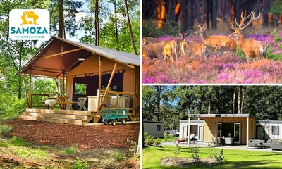(demi) semaine ou week-end dans un lodge ou lounge ( 2 Ă 6 personnes)