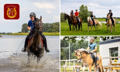 Avontuurlijke bosrit op een paard (3 Ă 4 uur)