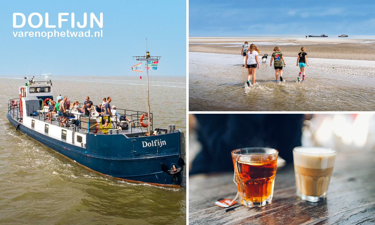 Vaartocht op de Waddenzee (2, 3 of 4 uur) of toegang Wadden Muziek Evenement