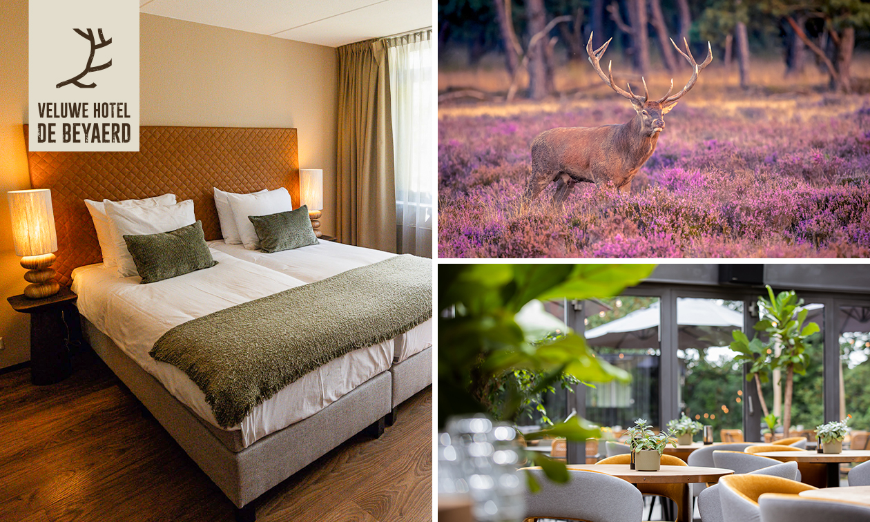 Nuit de luxe pour 2 personnes + petit-déjeuner + évtl. dîner en 3 services sur le Veluwe