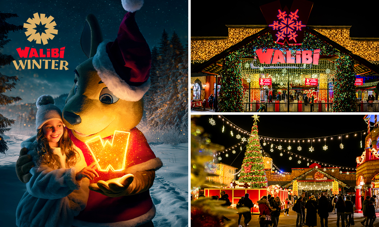 Entrée pour Walibi Winter