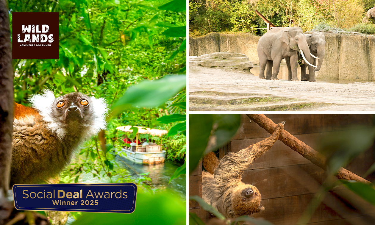 Entrée à la journée pour WILDLANDS Adventure Zoo Emmen