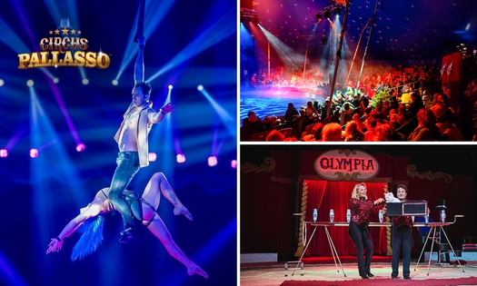 Ticket für den Winterzirkus Pallasso