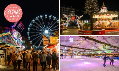 Patinage avec location de patins + grande roue + 2 consommations au Winterland