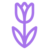 Vacances de carnaval